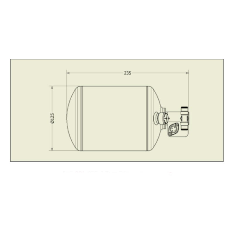 Lifeline 2.25KG 360 Elec. Stored Pressure