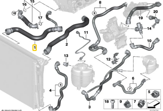 17128654823 - BMW B48 Lower Radiator Hose - 230i 330i 430i