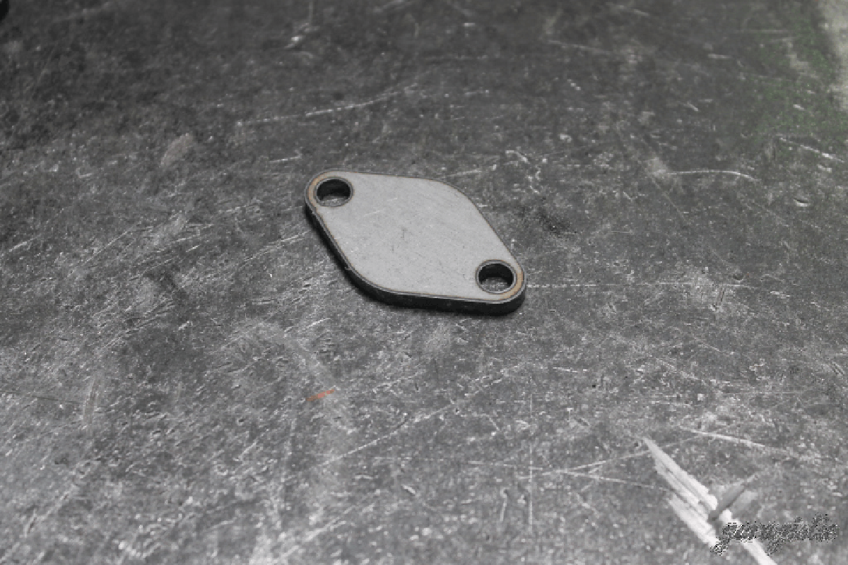 M54/S54 & Euro S50 EGR Block-off Plate (E46)