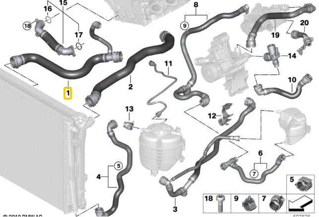 17128654823 - BMW B48 Lower Radiator Hose - 230i 330i 430i